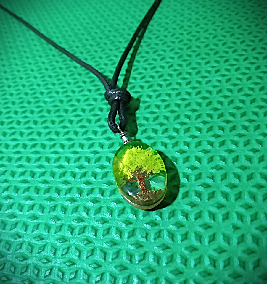 photo_45_2024-12-19_14-48-53