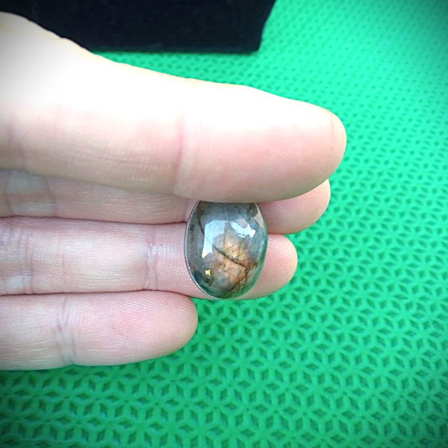 photo_62_2025-07-30_14-29-31