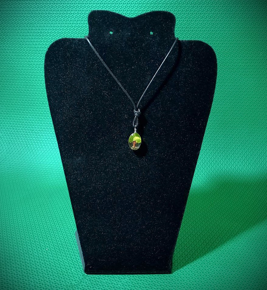 photo_86_2024-12-19_14-48-53